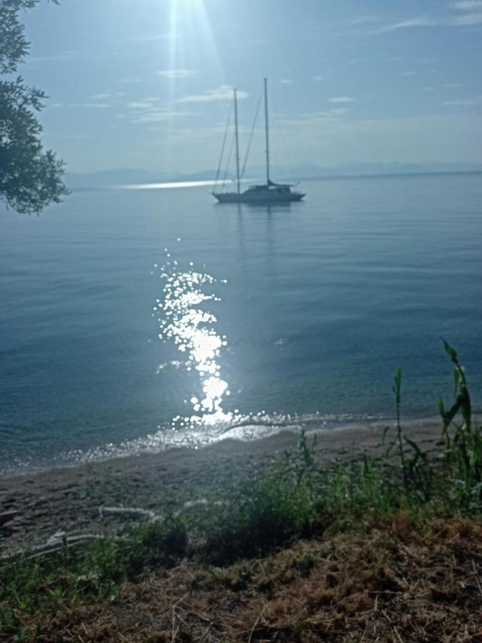 Corfu Bay Sea View Apartments 100M From The Beach Μπενίτσες Εξωτερικό φωτογραφία