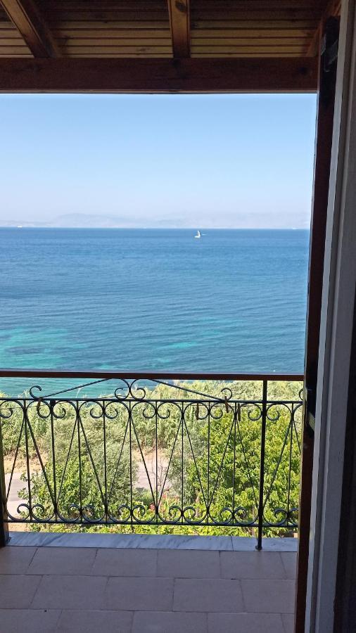 Corfu Bay Sea View Apartments 100M From The Beach Μπενίτσες Εξωτερικό φωτογραφία