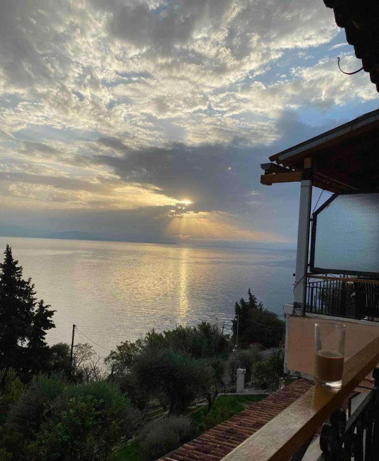 Corfu Bay Sea View Apartments 100M From The Beach Μπενίτσες Εξωτερικό φωτογραφία
